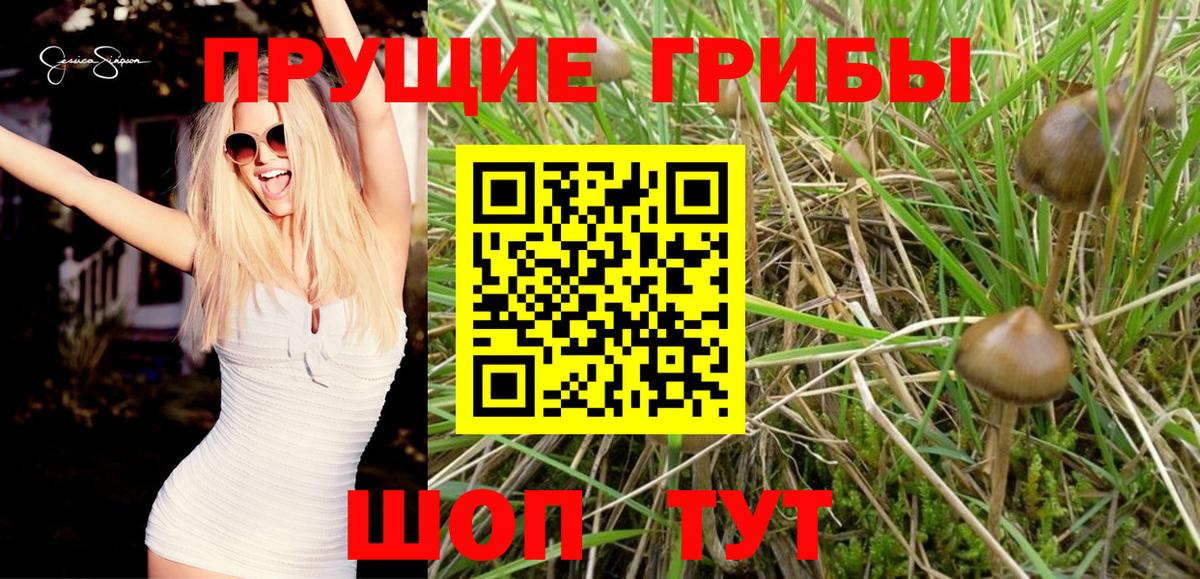 даркнет сайт  Псилоцибиновые грибы MAGIC MUSHROOMS  Вход с VPN  Коряжма 