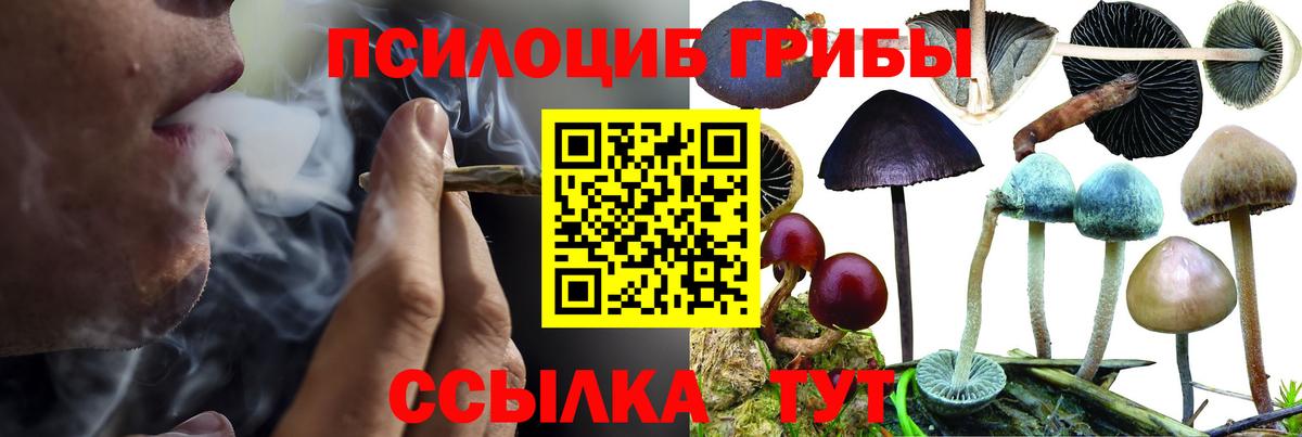 Псилоцибиновые грибы прущие грибы Коряжма